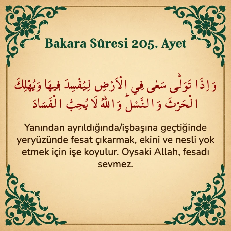 Bakara Suresi 205. Ayet Arapça ve Türkçe meali