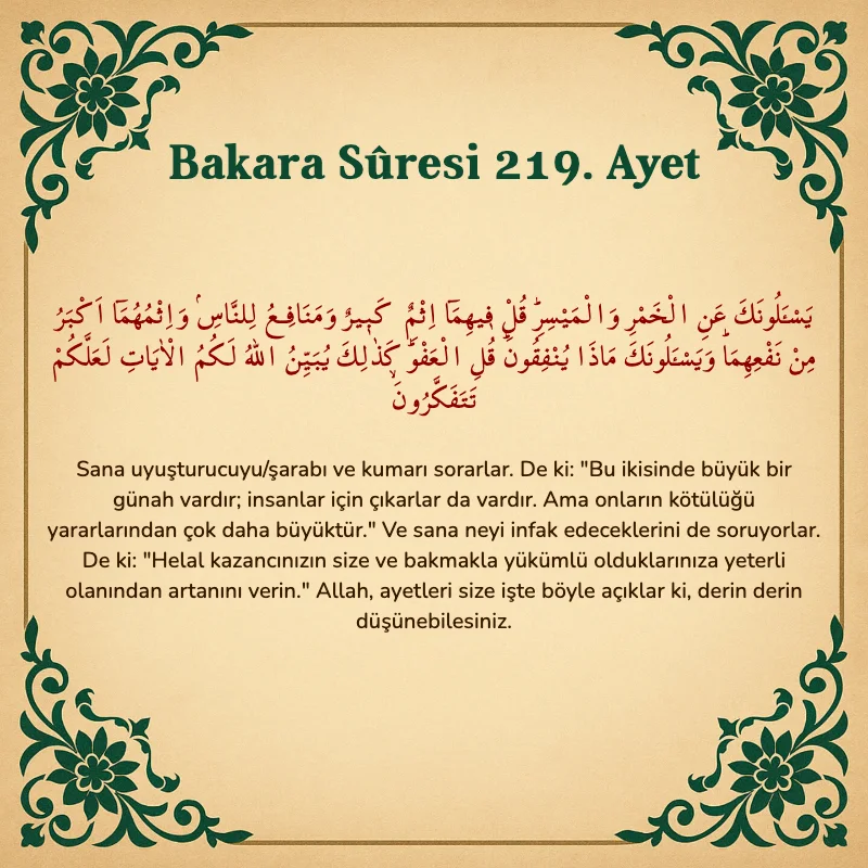 Bakara Suresi 219. Ayet  Arapça ve Türkçe meali