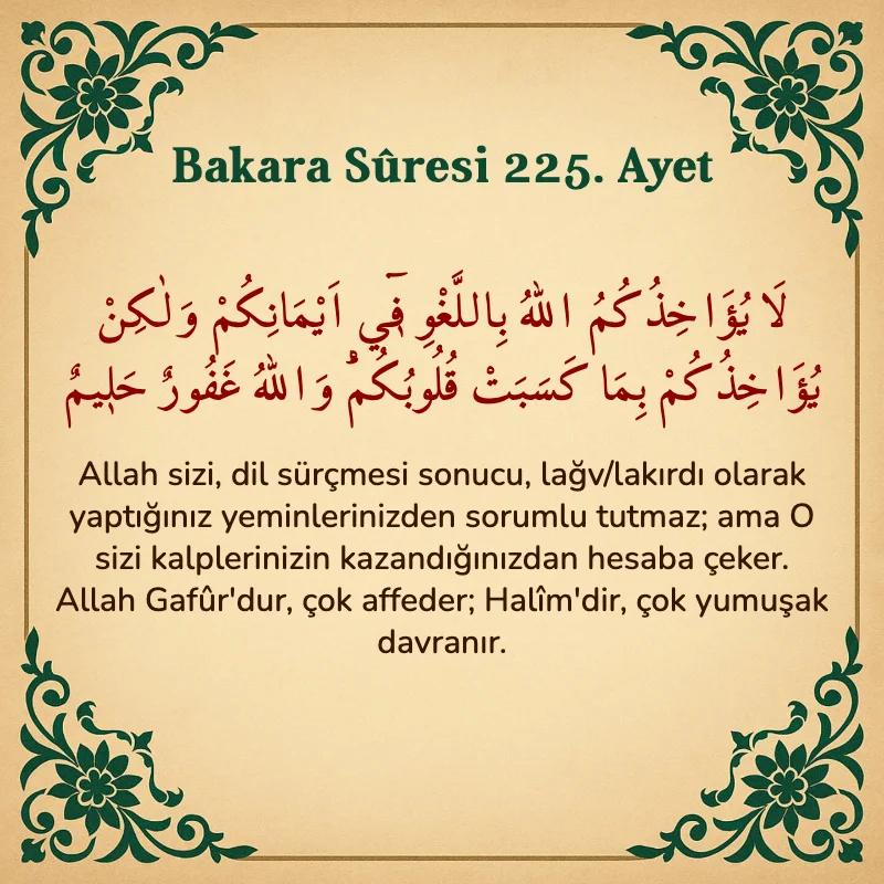 Bakara Suresi 225. Ayet  Arapça ve Türkçe meali