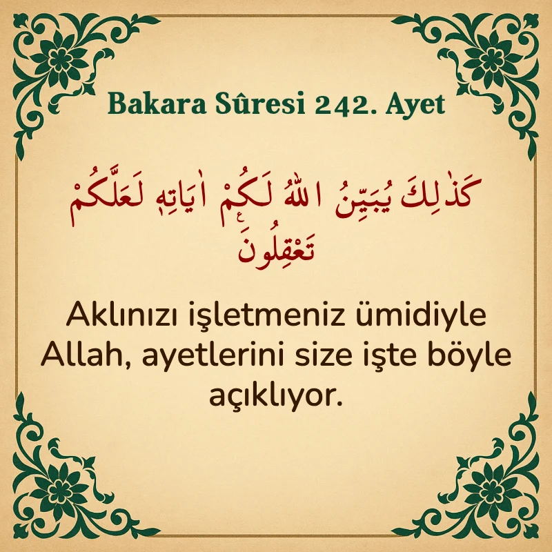 Bakara Suresi 242. Ayet  Arapça ve Türkçe meali