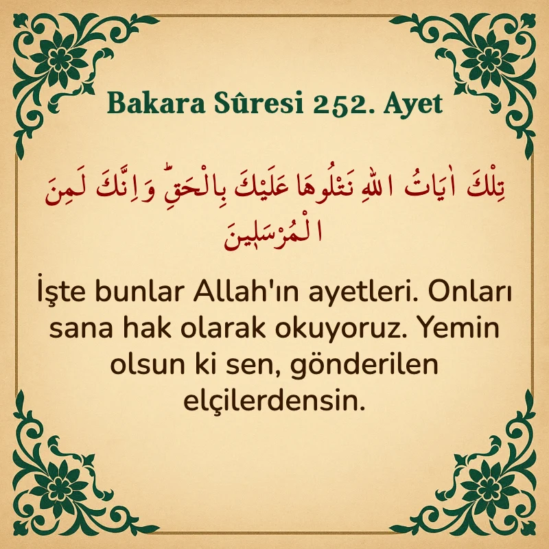 Bakara Suresi 252. Ayet Arapça ve Türkçe meali