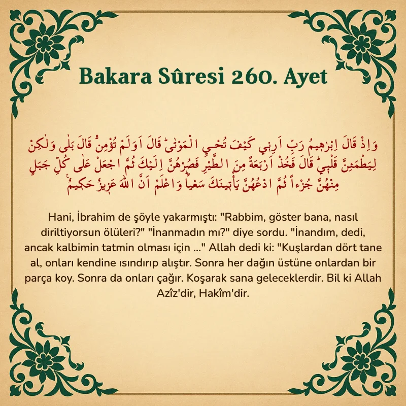 Bakara Suresi 260. Ayet Arapça ve Türkçe meali