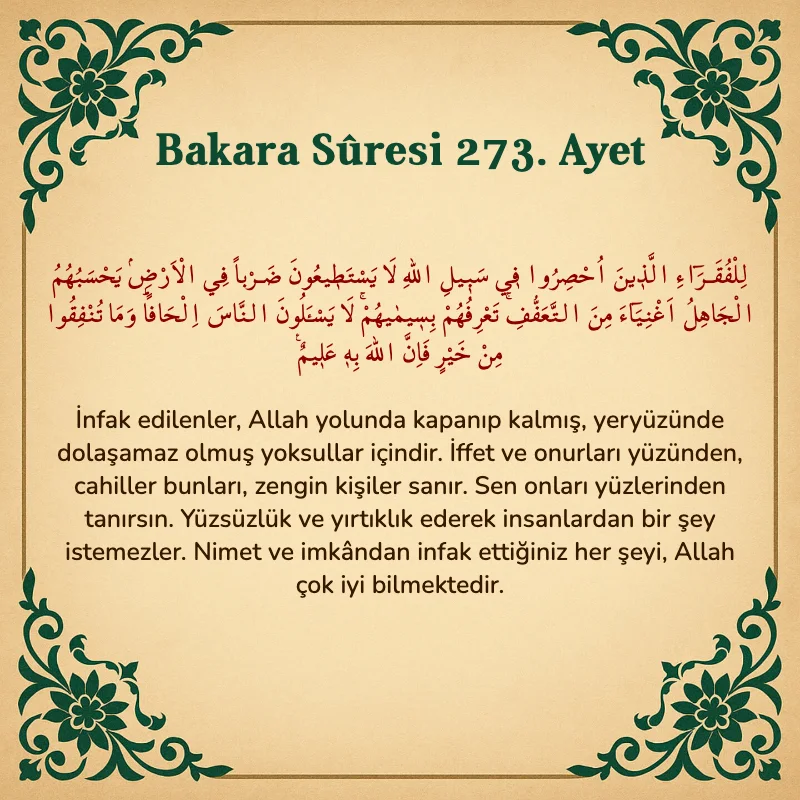 Bakara Suresi 273. Ayet Arapça ve Türkçe meali