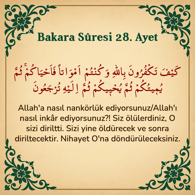 Bakara Suresi 28. Ayet Arapça ve Türkçe meali