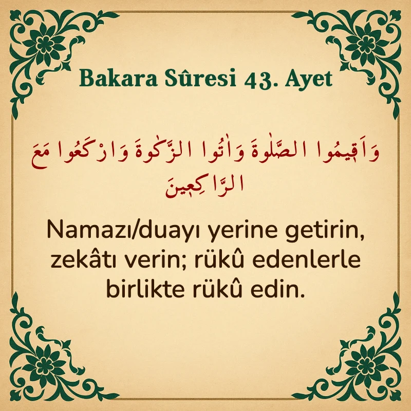 Bakara Suresi 43. Ayet Arapça ve Türkçe meali
