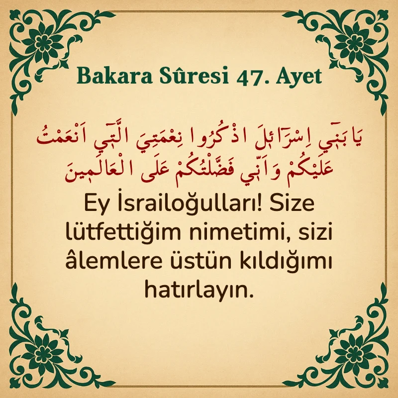 Bakara Suresi 47. Ayet  Arapça ve Türkçe meali