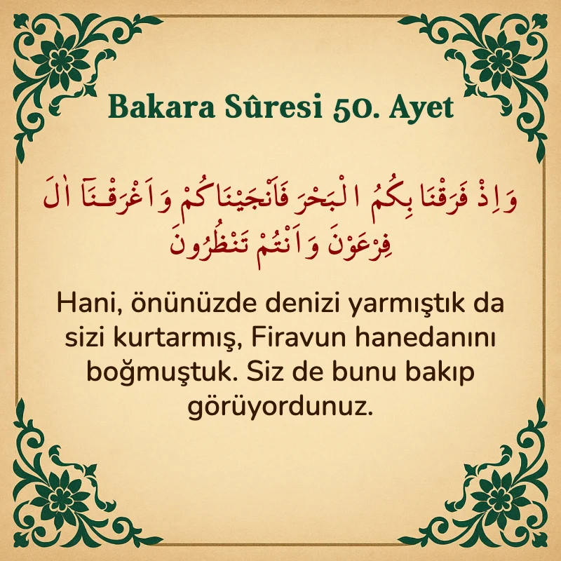 Bakara Suresi 50. Ayet Arapça ve Türkçe meali