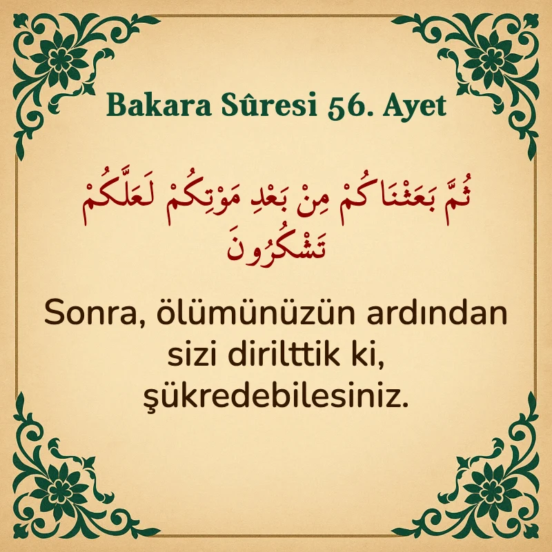 Bakara Suresi 56. Ayet Arapça ve Türkçe meali