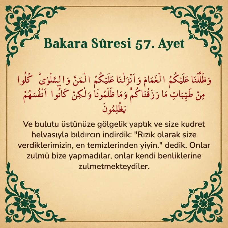 Bakara Suresi 57. Ayet  Arapça ve Türkçe meali