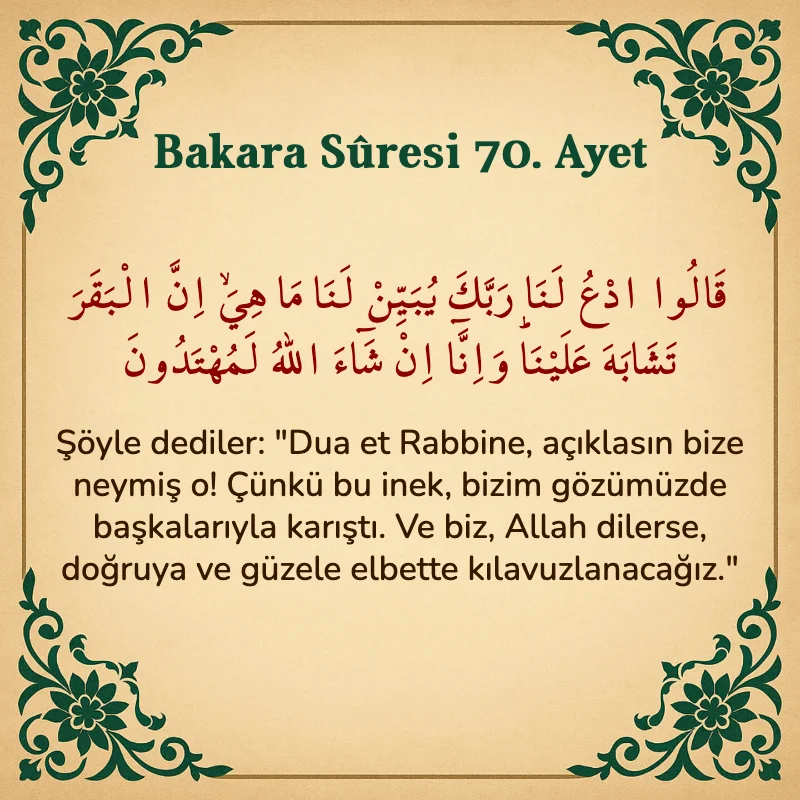 Bakara Suresi 70. Ayet Arapça ve Türkçe meali