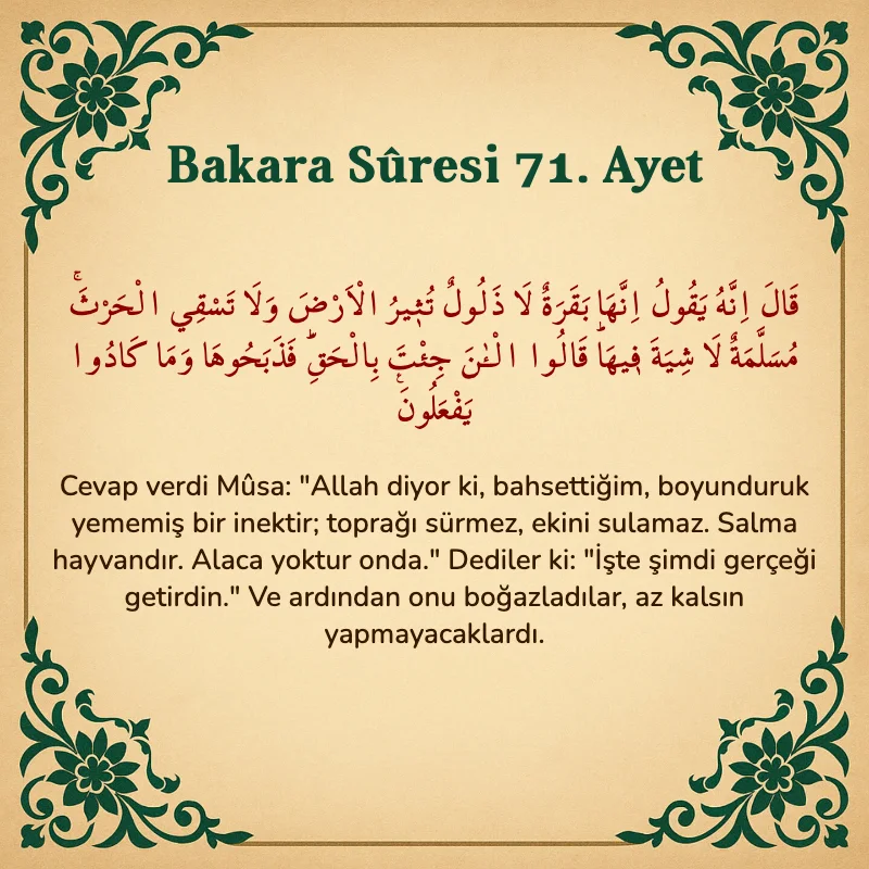 Bakara Suresi 71. Ayet Arapça ve Türkçe meali