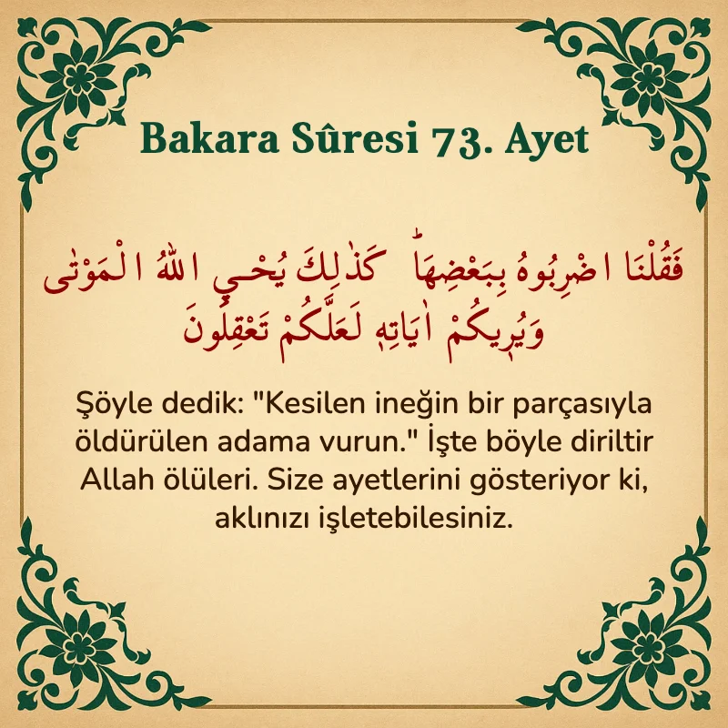 Bakara Suresi 73. Ayet Arapça ve Türkçe meali
