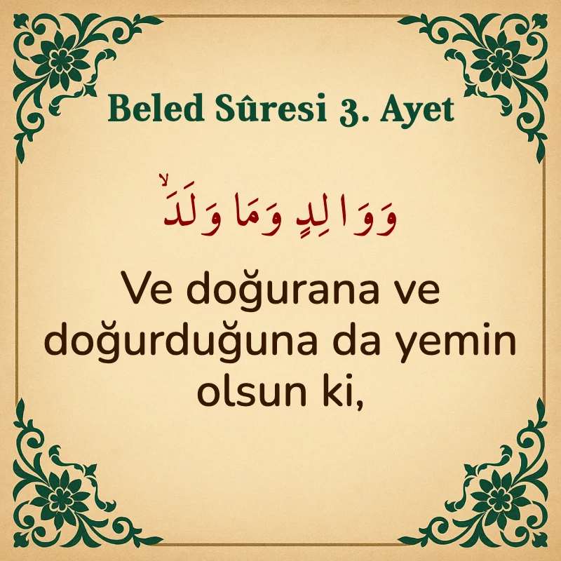 Beled Suresi 3. Ayet Arapça ve Türkçe meali