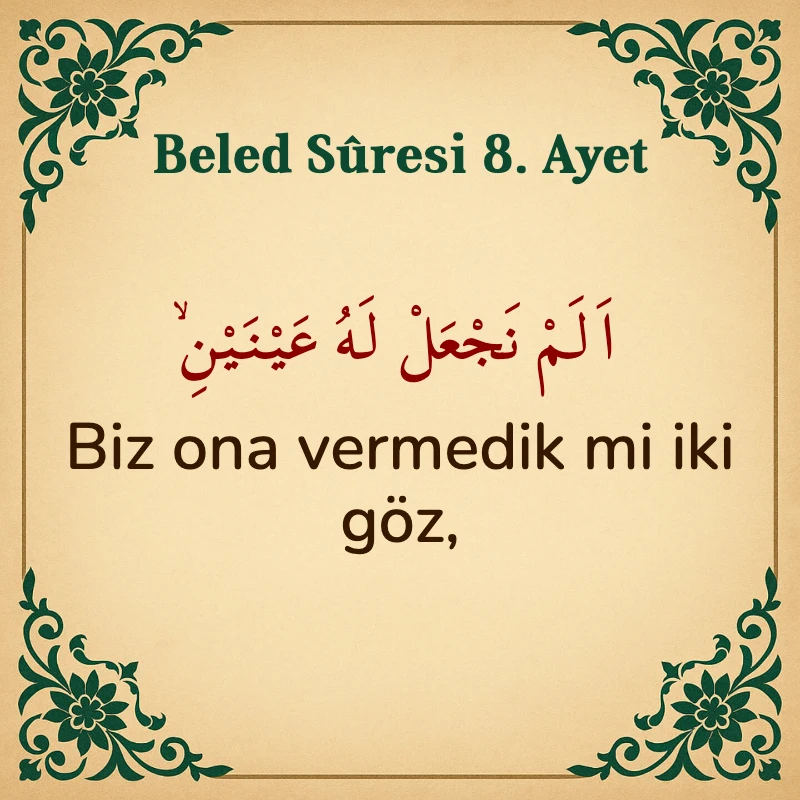 Beled Suresi 8. Ayet Arapça ve Türkçe meali