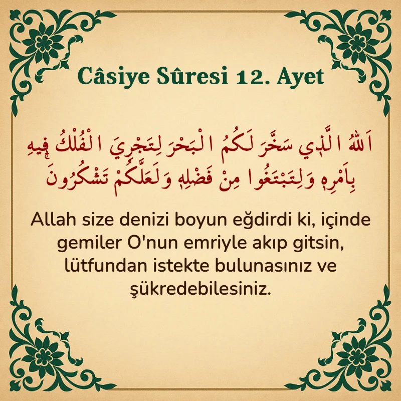 Casiye Suresi 12. Ayet Arapça ve Türkçe meali
