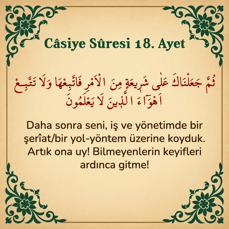 Casiye Suresi 18. Ayet Arapça ve Türkçe meali