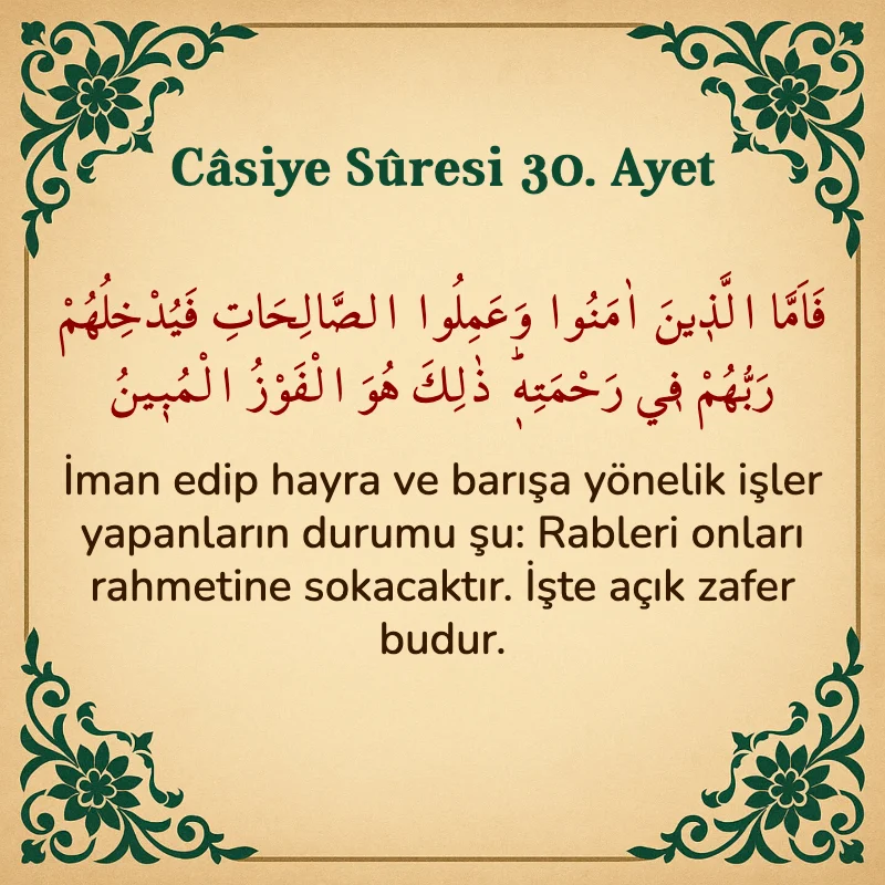 Casiye Suresi 30. Ayet Arapça ve Türkçe meali