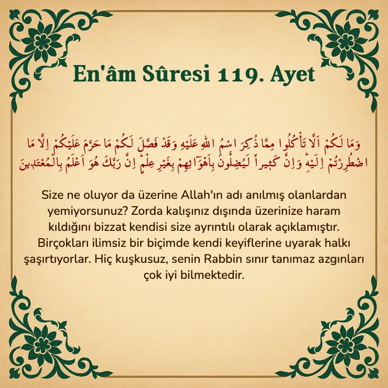 En'âm Sûresi 119. Ayet Arapça ve Türkçe meali