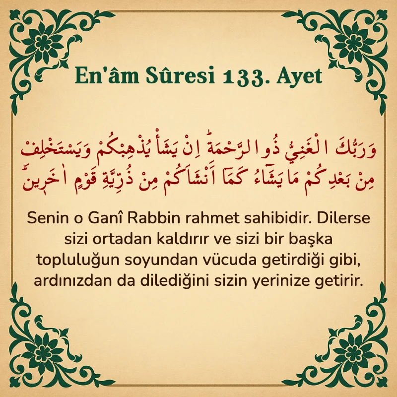 En'âm Sûresi 133. Ayet Arapça ve Türkçe meali