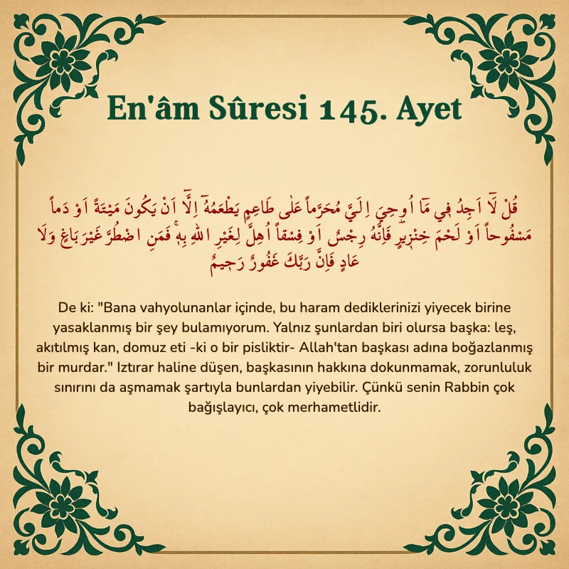 En'âm Sûresi 145. Ayet Arapça ve Türkçe meali