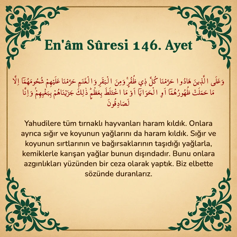 En'âm Sûresi 146. Ayet Arapça ve Türkçe meali