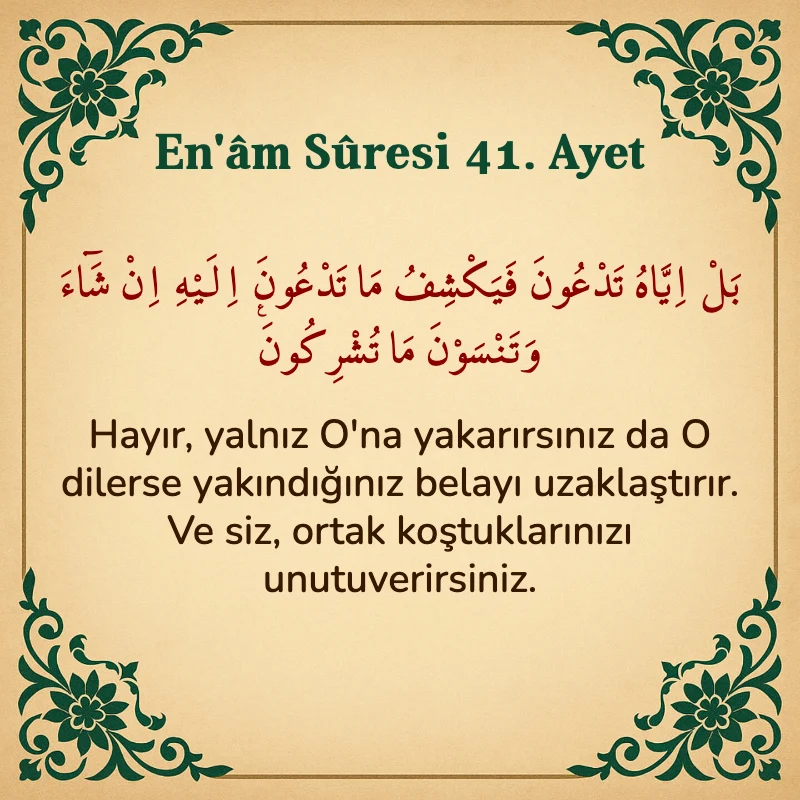 En'âm Sûresi 41. Ayet Arapça ve Türkçe meali