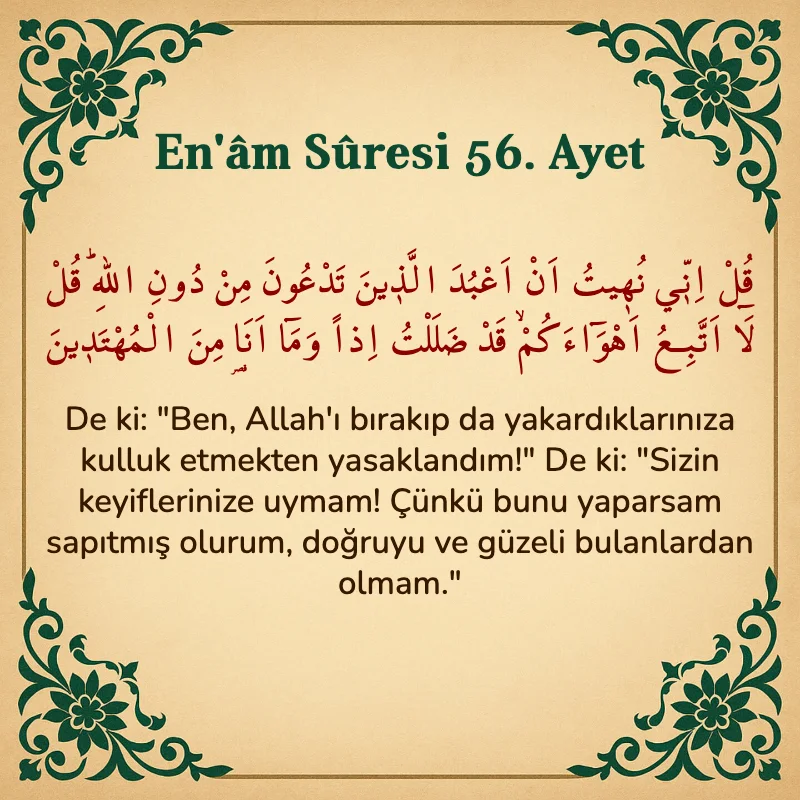 En'âm Sûresi 56. Ayet Arapça ve Türkçe meali