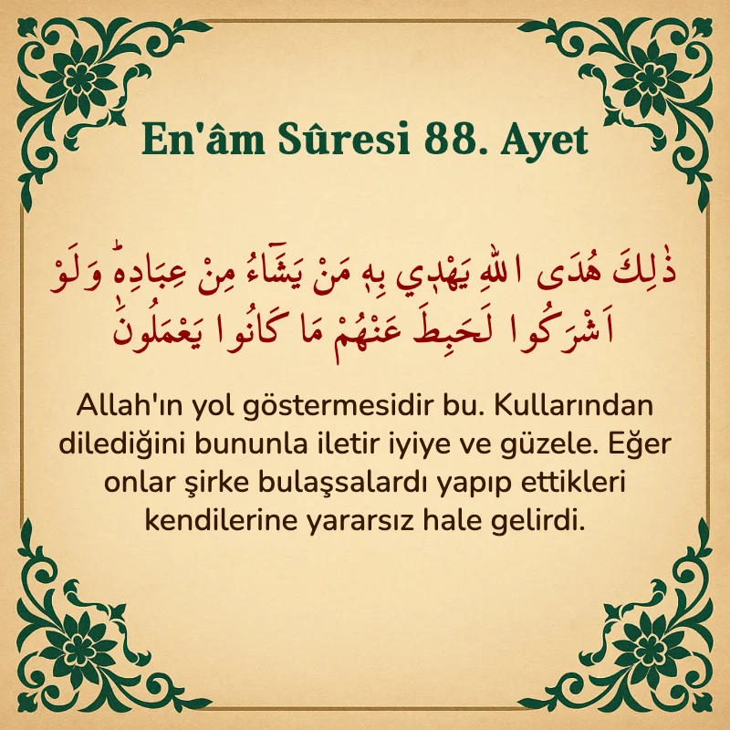 En'âm Sûresi 88. Ayet Arapça ve Türkçe meali