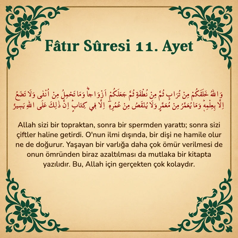 Fatır Suresi 11. Ayet Arapça ve Türkçe meali