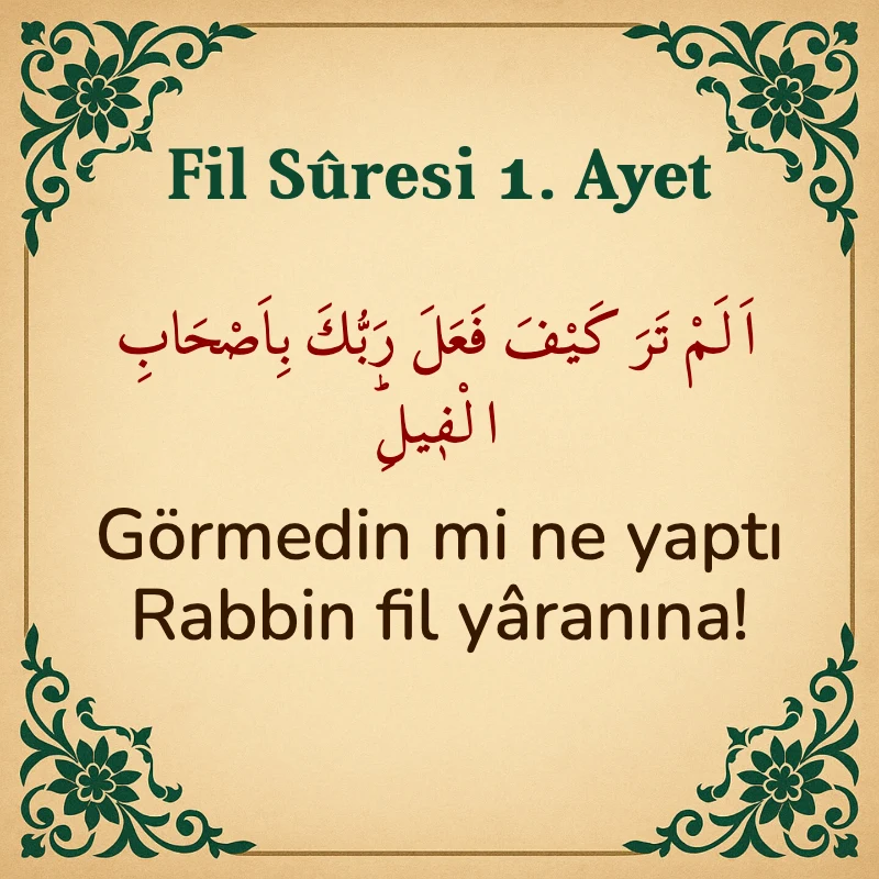 Fil Suresi 1. Ayet Arapça ve Türkçe meali
