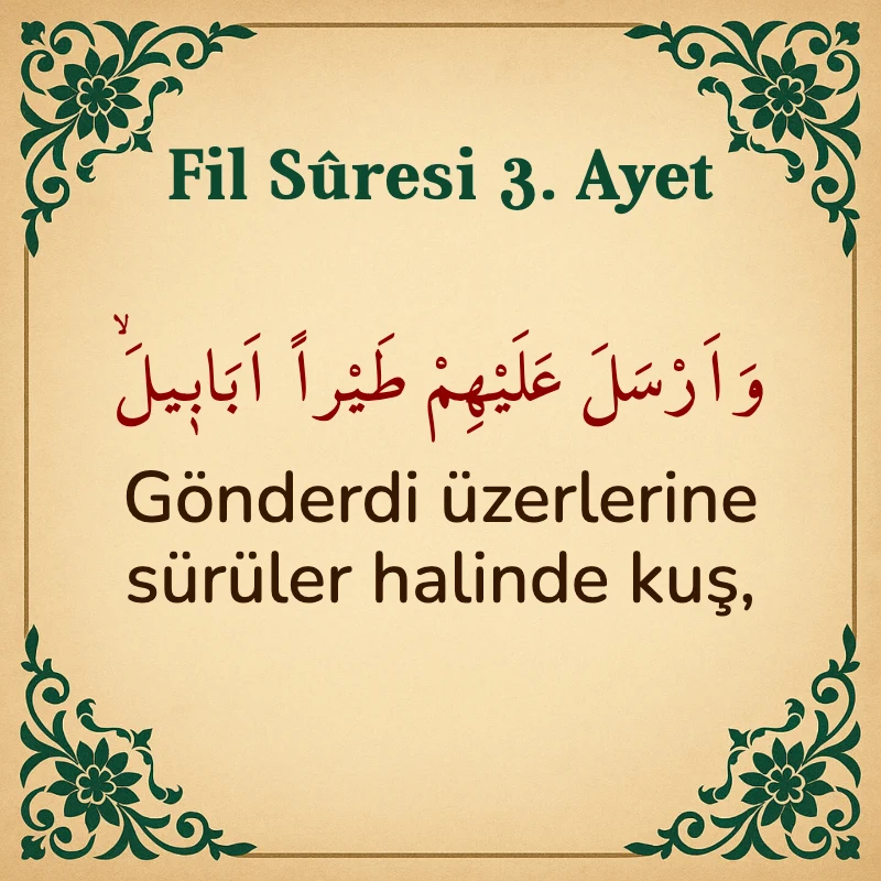 Fil Suresi 3. Ayet Arapça ve Türkçe meali