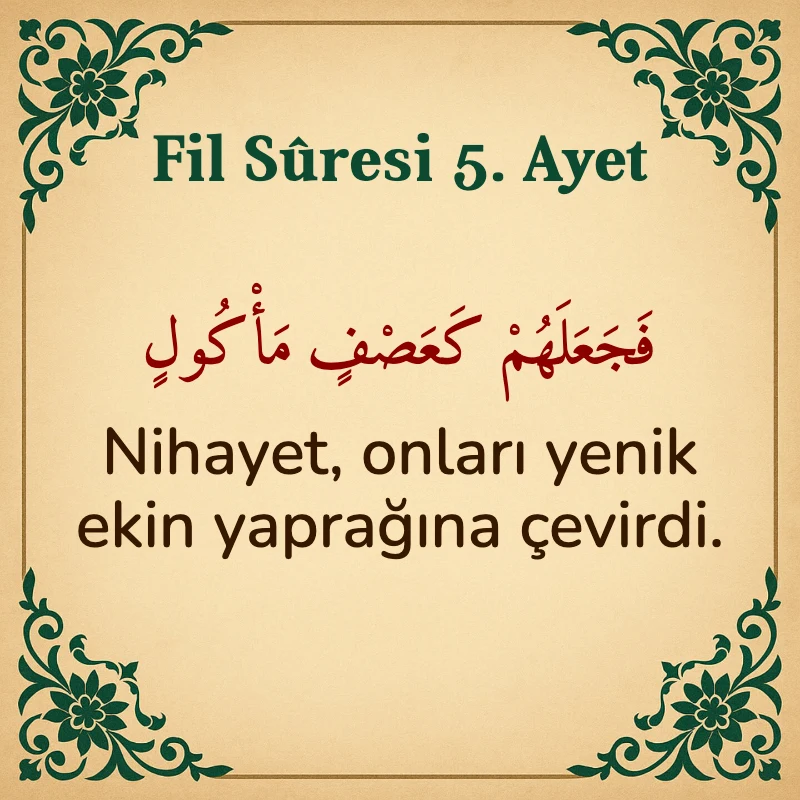 Fil Suresi 5. Ayet Arapça ve Türkçe meali