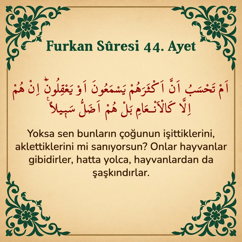 Furkan Suresi 44. Ayet Arapça ve Türkçe meali