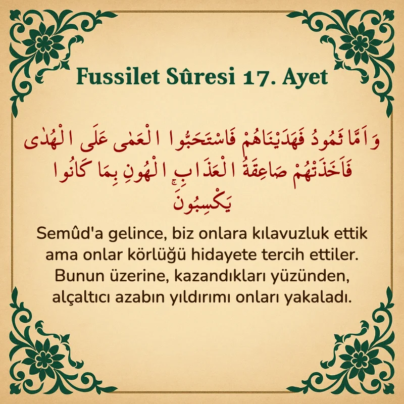 Fussilet Suresi 17. Ayet Arapça ve Türkçe meali
