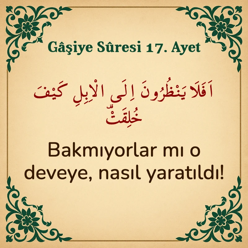 Gaşiye Suresi 17. Ayet Arapça ve Türkçe meali