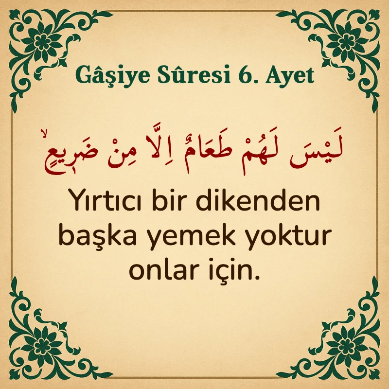 Gaşiye Suresi 6. Ayet Arapça ve Türkçe meali