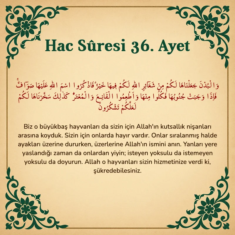 Hac Suresi 36. Ayet Arapça ve Türkçe meali