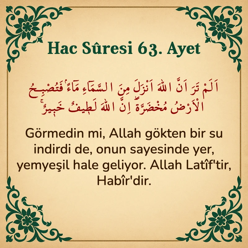 Hac Suresi 63. Ayet Arapça ve Türkçe meali