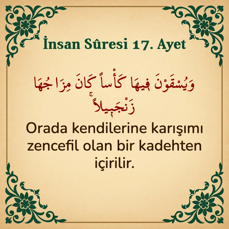 İnsan Suresi 17. Ayet Arapça ve Türkçe meali