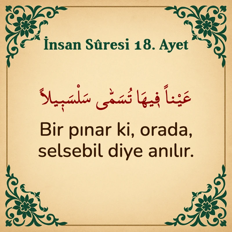 İnsan Suresi 18. Ayet Arapça ve Türkçe meali