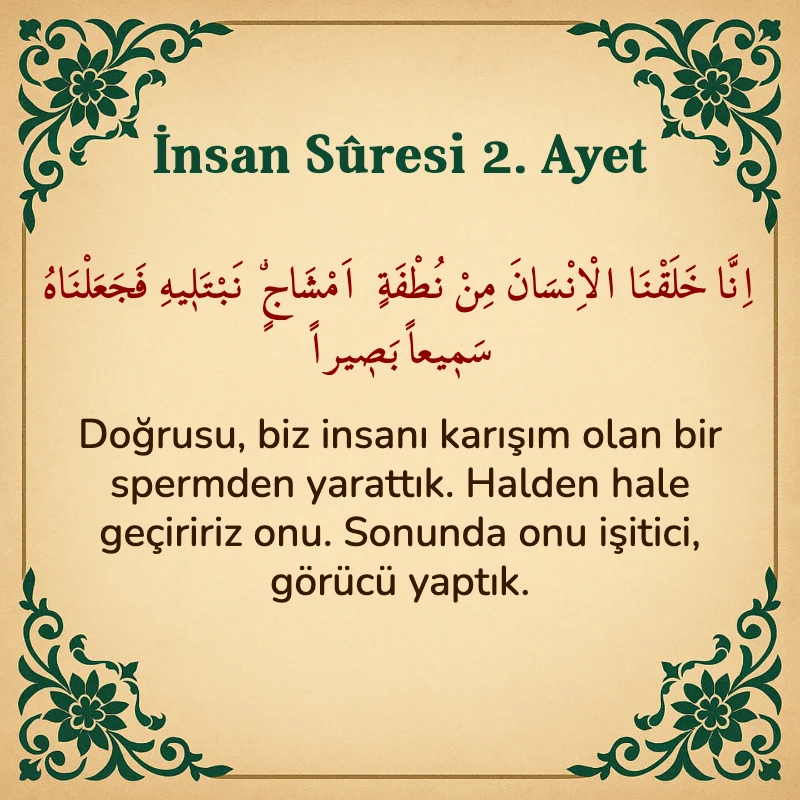 İnsan Suresi 2. Ayet Arapça ve Türkçe meali