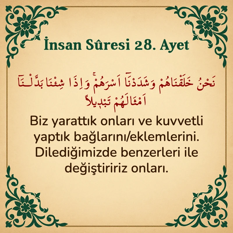 İnsan Suresi 28. Ayet Arapça ve Türkçe meali