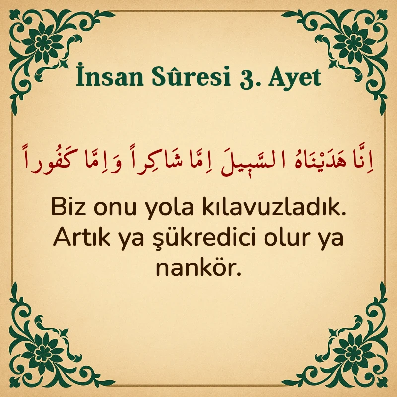 İnsan Suresi 3. Ayet Arapça ve Türkçe meali
