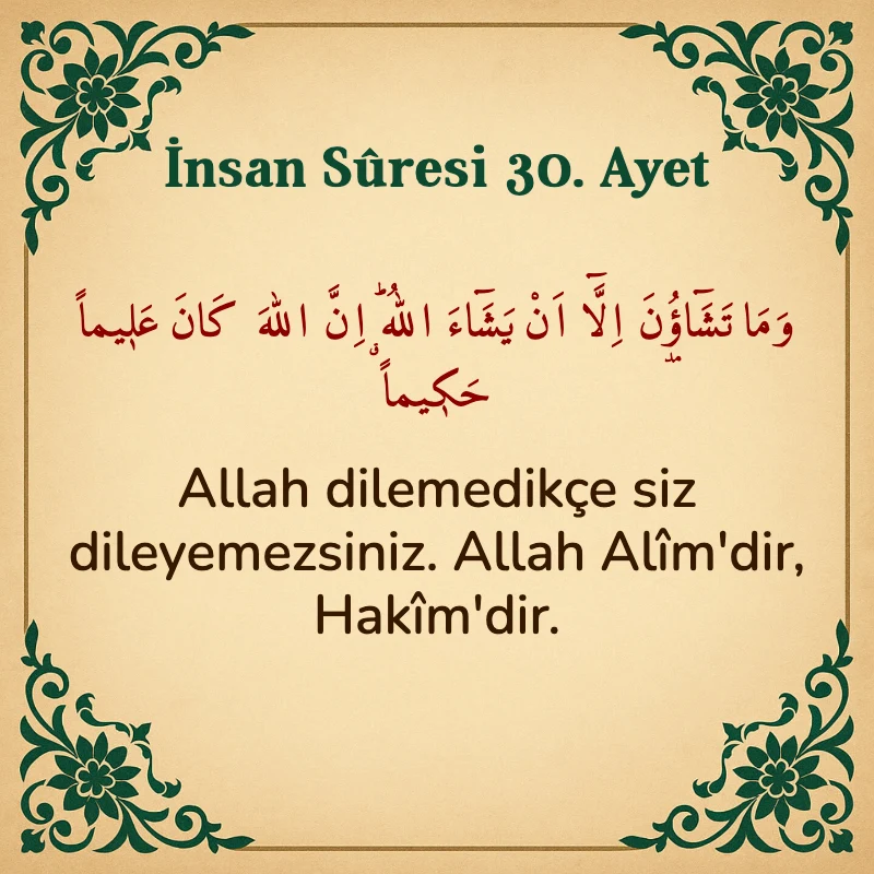 İnsan Suresi 30. Ayet Arapça ve Türkçe meali