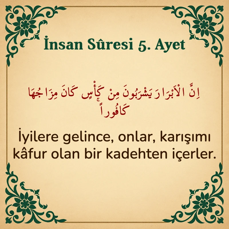 İnsan Suresi 5. Ayet Arapça ve Türkçe meali