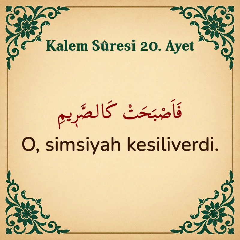 Kalem Suresi 20. Ayet Arapça ve Türkçe meali