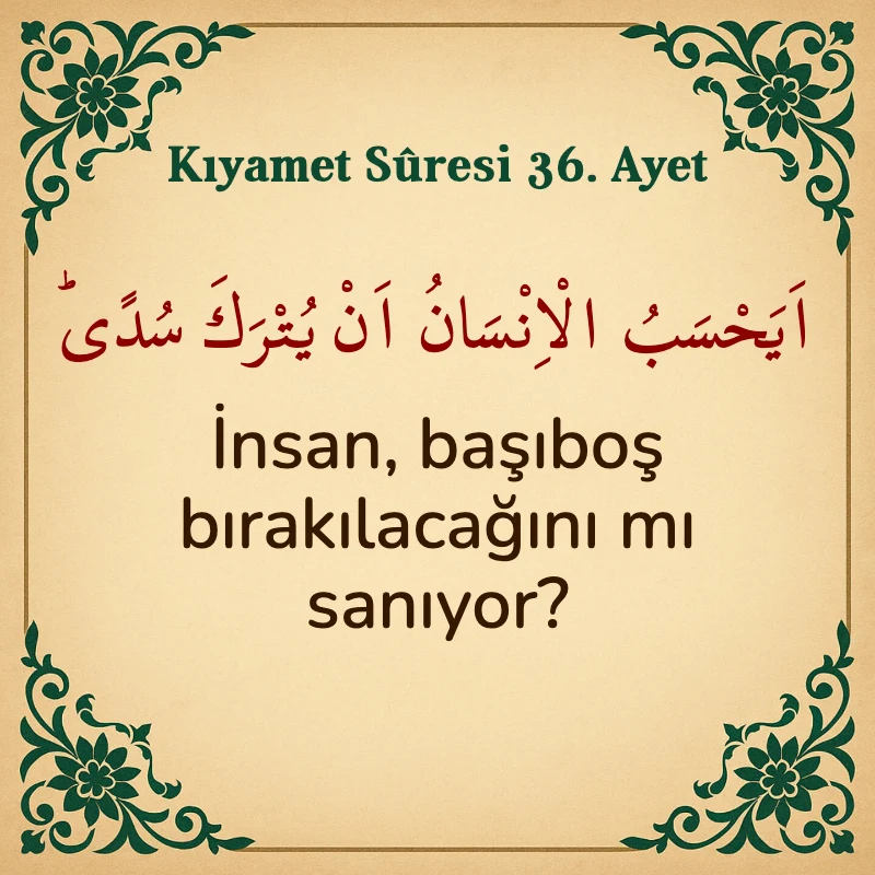 Kıyamet Suresi 36. Ayet Arapça ve Türkçe meali