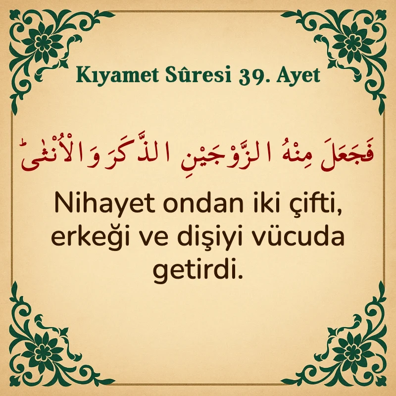 Kıyamet Suresi 39. Ayet Arapça ve Türkçe meali