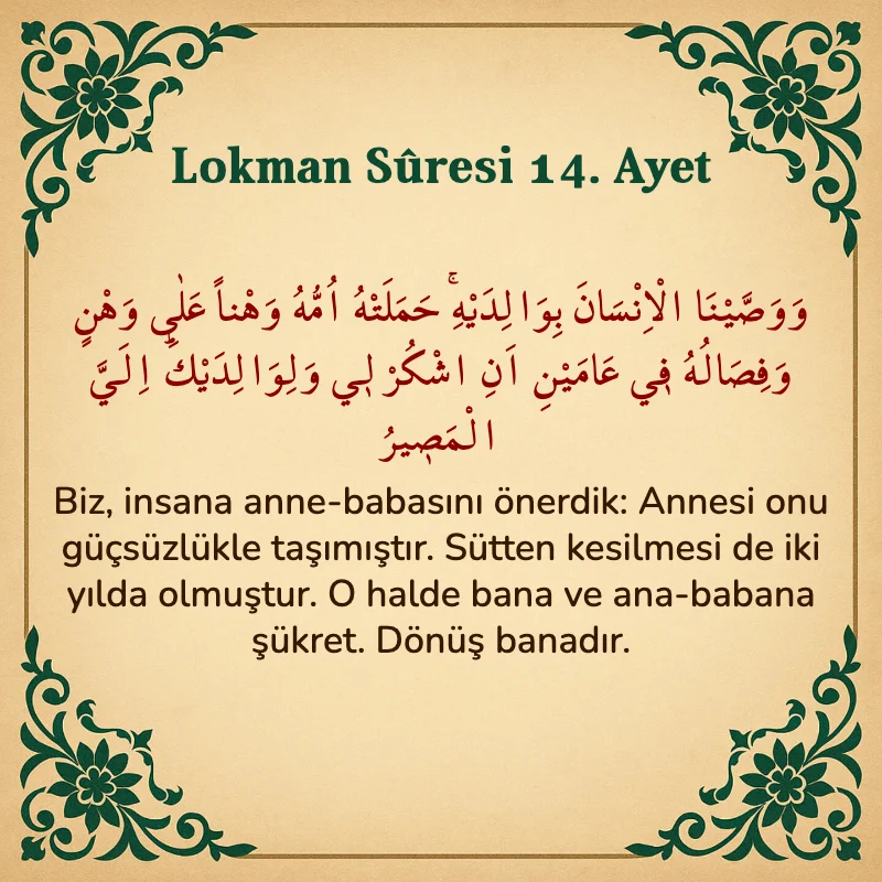 Lokman Suresi 14. Ayet Arapça ve Türkçe meali