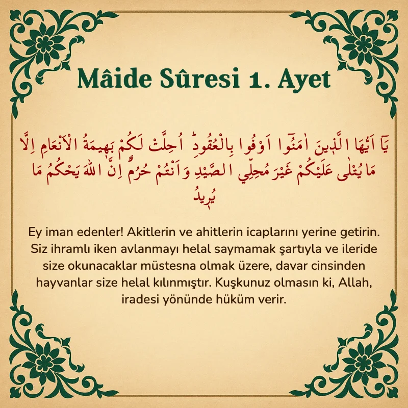 Mâide Sûresi 1. Ayet Arapça ve Türkçe meali